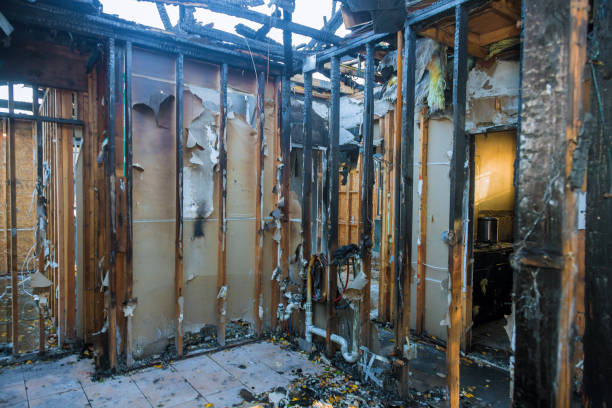 Professional Odor Removal technician working in Faxon, PA
